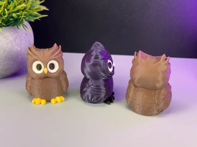 Owl — Image 2 of 9
