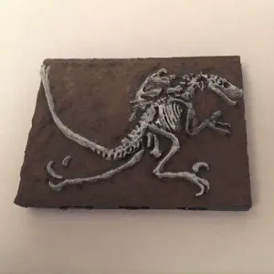 Miniature Velociraptor Fossil