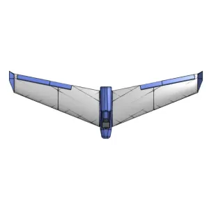 Pro Flying Wing V1