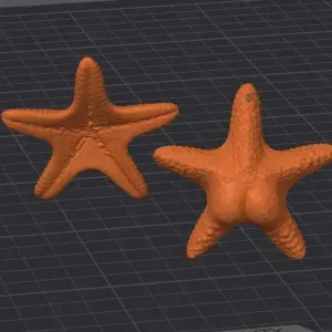 Llavero e iman estrella culona | Big ass star keychain