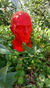 Large Head