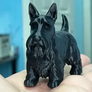 Scottish Terrier