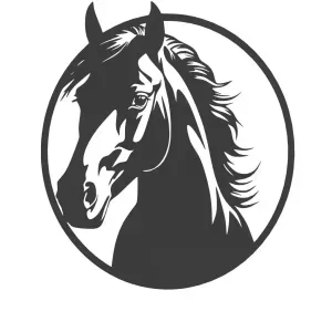 cadre cheval