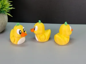 Cute Duck