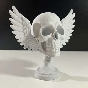 Angel Skull