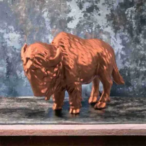 Bison