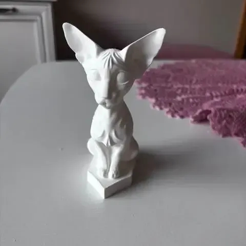 Sfinx cat