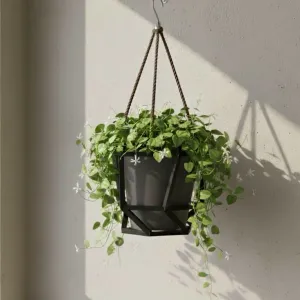 Hanging planter