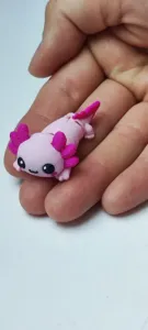 🩷 MY MINI AXOLOTL 🩷