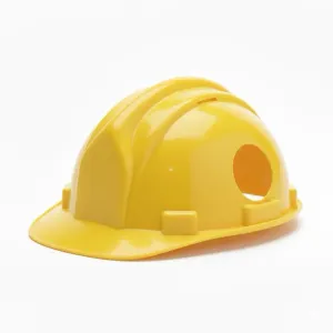 cat helmet