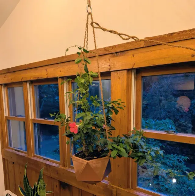 Icosahedron Hanging Planter — Фото 4 из 5