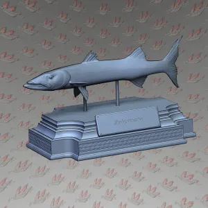 BARRACUDA