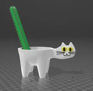 planter CAT for cactus