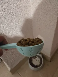 Pet Food Measuring Scoop 1/2 Cup (with paws)
