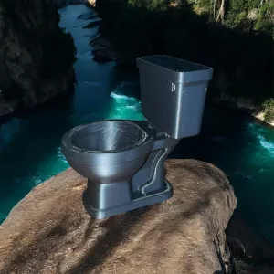 WC Panoramico
