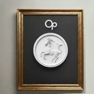 CAPRICORNIO, ZODIAC