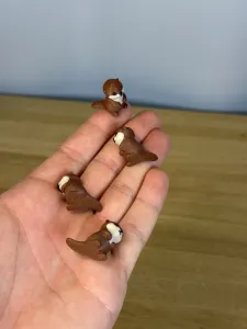 Mini Baby Otter