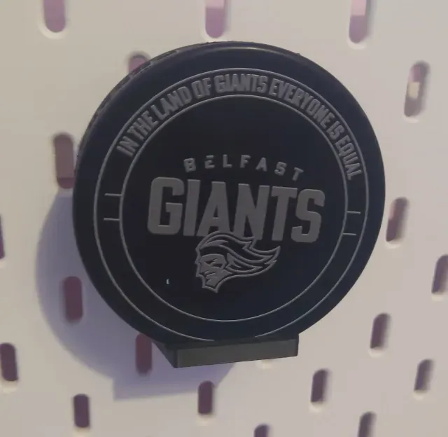 IKEA Skadis ice hockey puck holder — Image 3 of 4