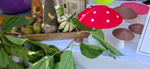 Mushrooms