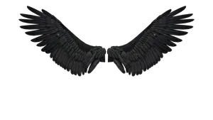 wings