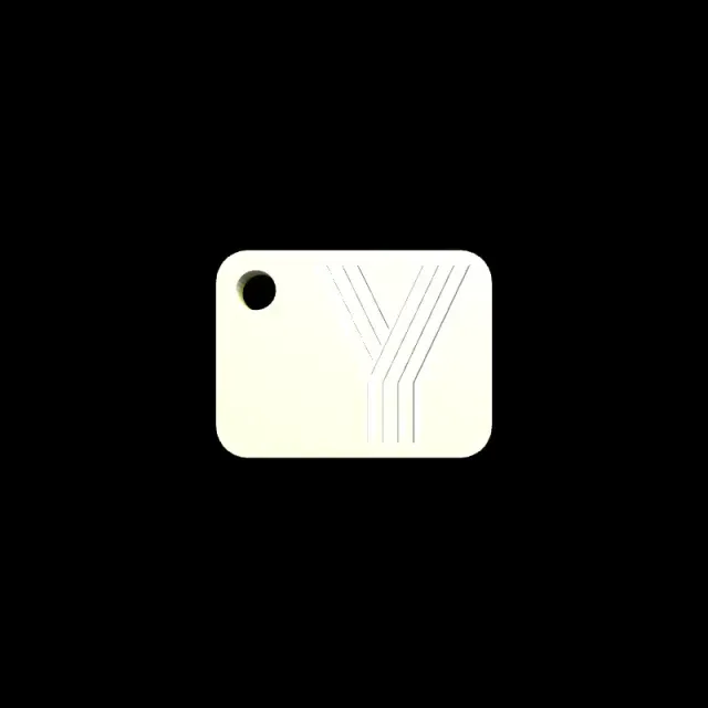 Y- keychain