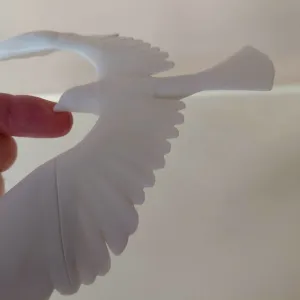 Center of Gravity Bird