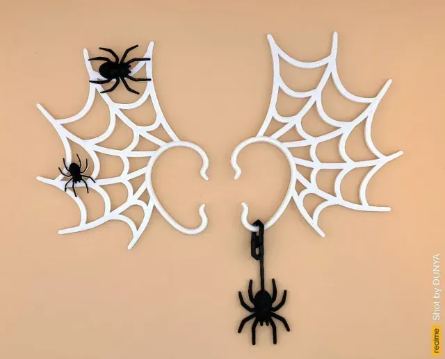 Spider web earring