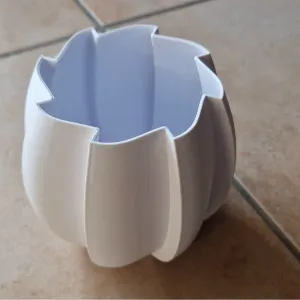 vaso