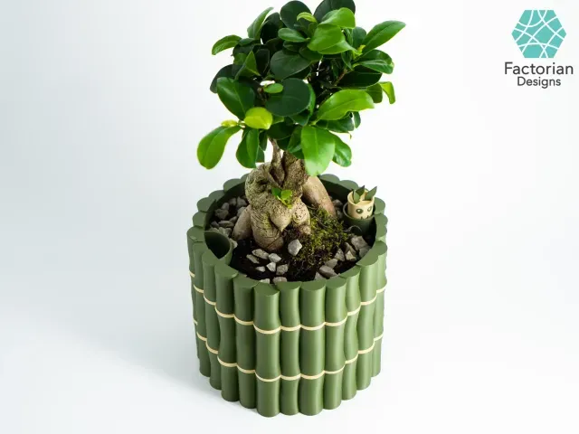 Self-Watering Plant Pot With Bamboo Buddy! Planter STL & 3MF — Фото 9 из 9