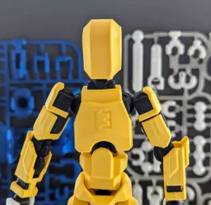 Dummy 13