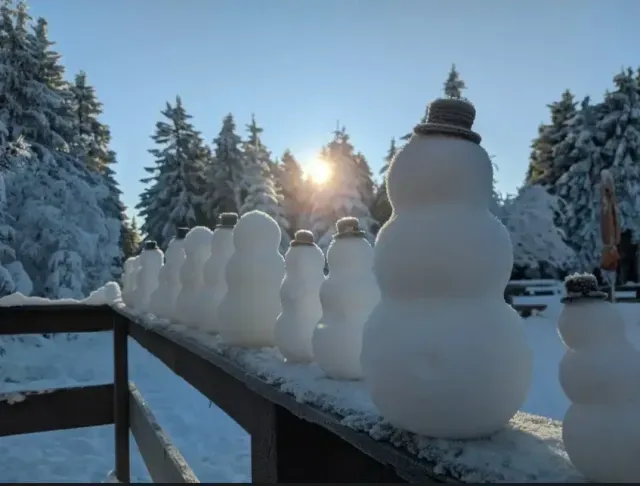 perfect snowman mold — Фото 3 из 6