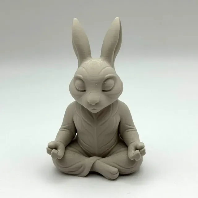 Zen Bunnie
