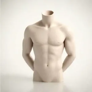 Torso
