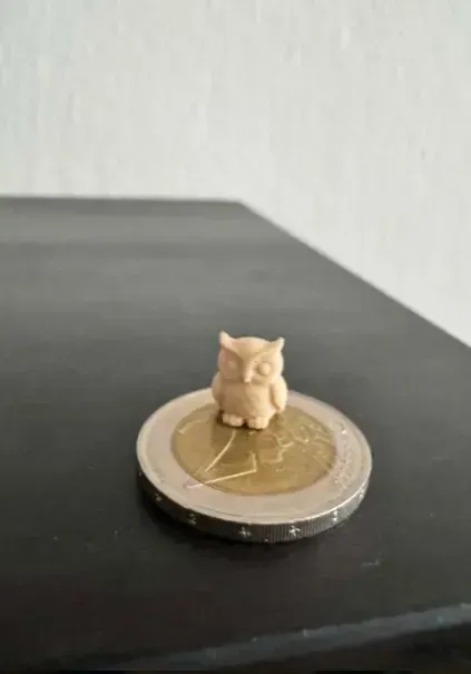 World's Smallest Owl — Фото 2 из 3
