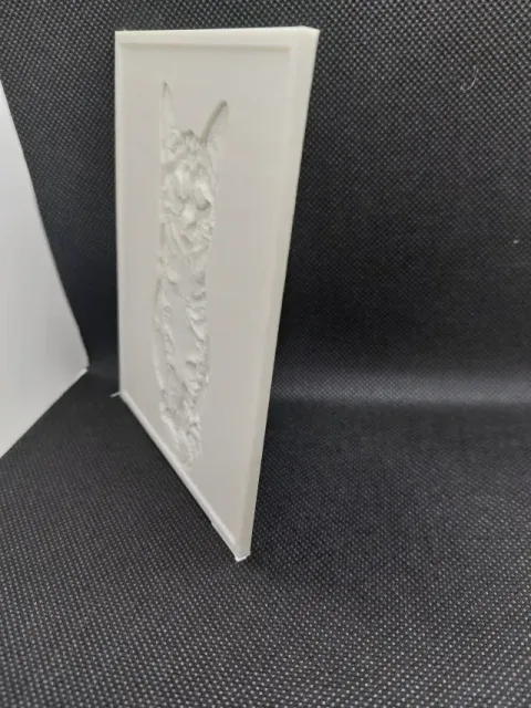 Parametric lithophane frame — Фото 5 из 9