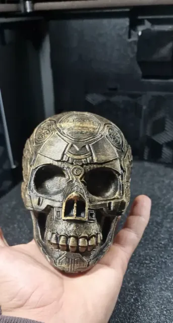 skull — Фото 5 из 9