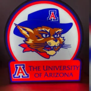 University of Arizona