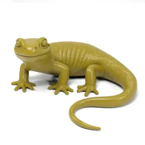 Salamander