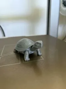 Realistic tortoise with detailed textures
