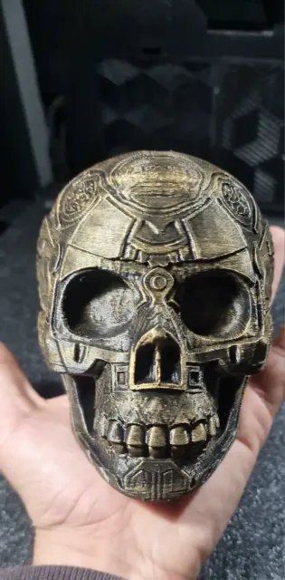 skull — Фото 8 из 9