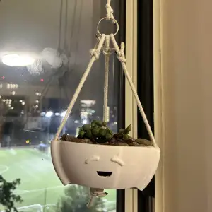 Hanging Pot with Drainage 1.0