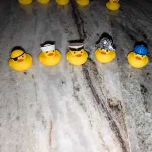 Cruise duck accessories 2