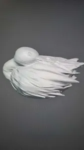 Duck Decoy