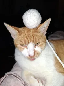 gumball
