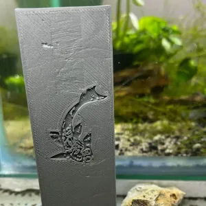 Pleco Fish Cave