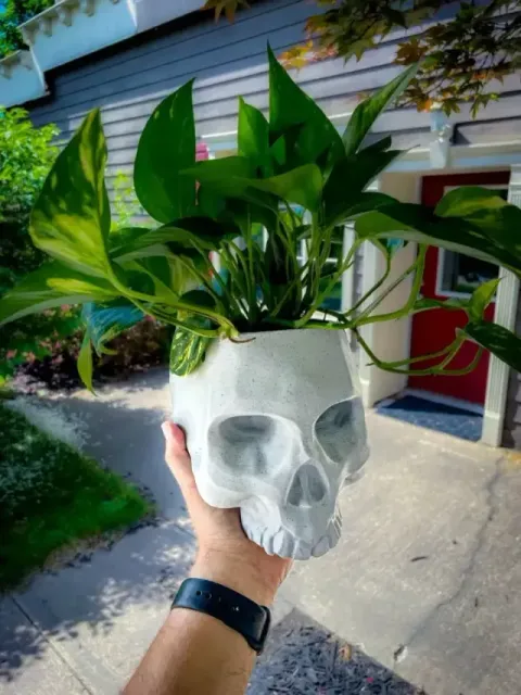 2 Hanging Skull Planter NO SUPPORT — Image 3 of 5