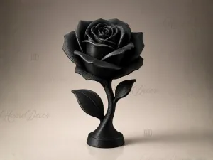 Rose Decor