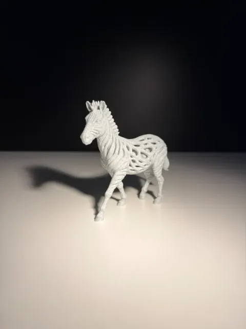 Zebra — Фото 2 из 5