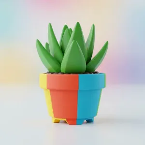 Agavoides