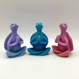 Zen Turtle